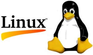 Linux Logo - Embedded Computers and Linux